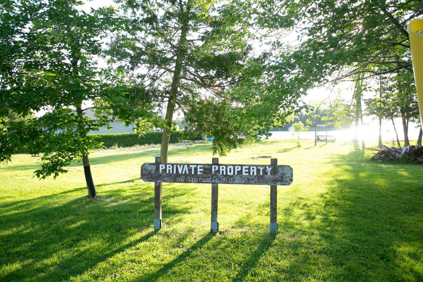 Fun Place With A Sandy Beach For Swimming, Boating, And Fishing, Featuring 3 Available Cabins Fenelon Falls Luaran gambar